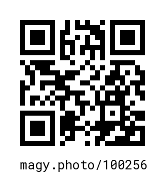 QR Code #100256