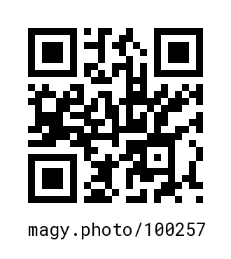 QR Code #100257