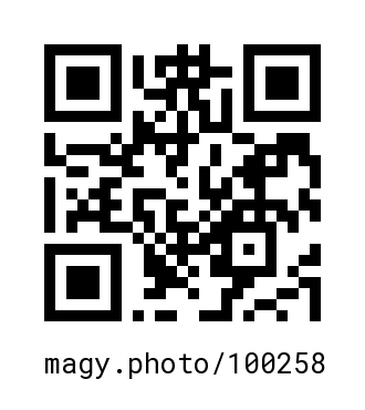 QR Code #100258