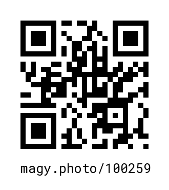 QR Code #100259