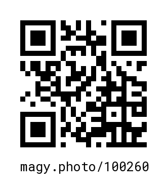 QR Code #100260