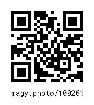QR Code #100261