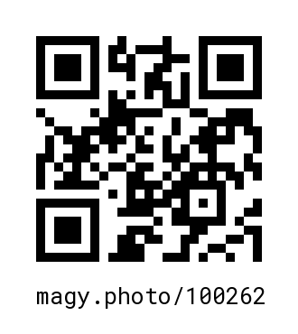 QR Code #100262