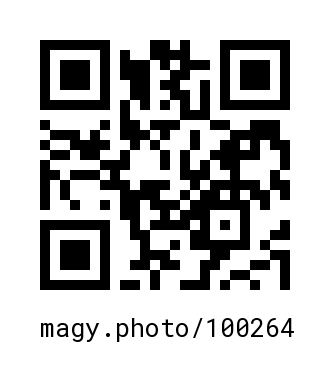 QR Code #100264