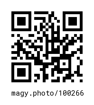 QR Code #100266