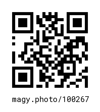 QR Code #100267