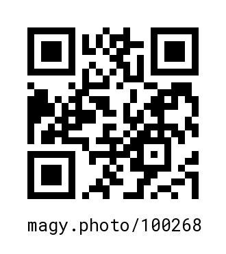 QR Code #100268