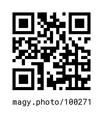 QR Code #100271