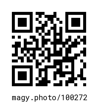 QR Code #100272