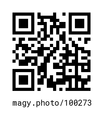QR Code #100273