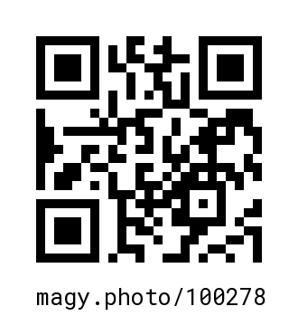 QR Code #100278