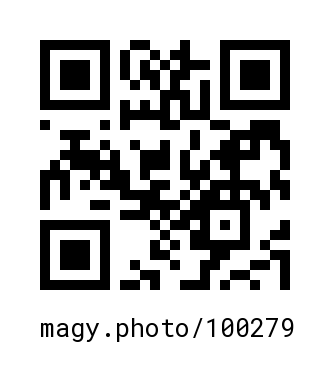 QR Code #100279