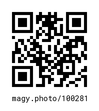 QR Code #100281