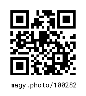 QR Code #100282