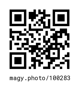 QR Code #100283