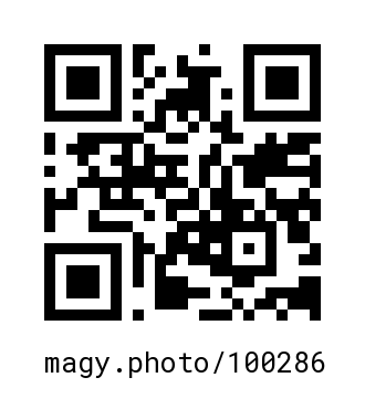 QR Code #100286