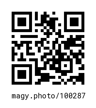 QR Code #100287