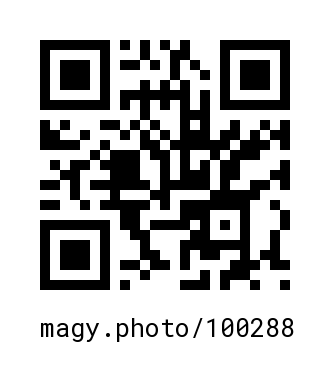 QR Code #100288