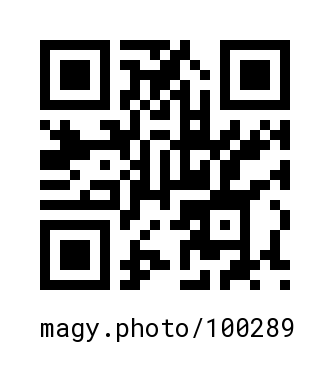 QR Code #100289