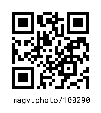 QR Code #100290