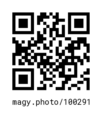 QR Code #100291