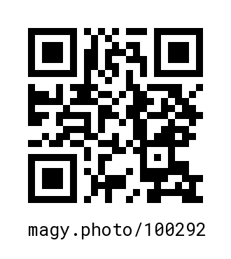 QR Code #100292
