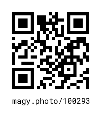 QR Code #100293