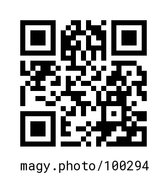 QR Code #100294