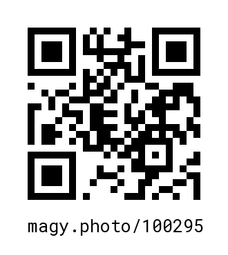 QR Code #100295