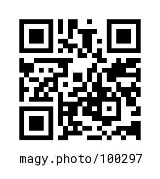 QR Code #100297