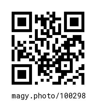 QR Code #100298