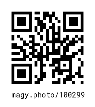 QR Code #100299