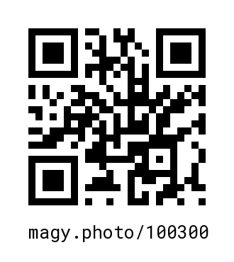 QR Code #100300