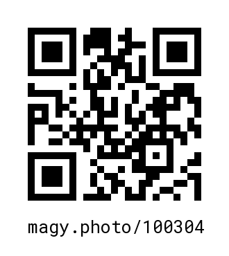 QR Code #100304