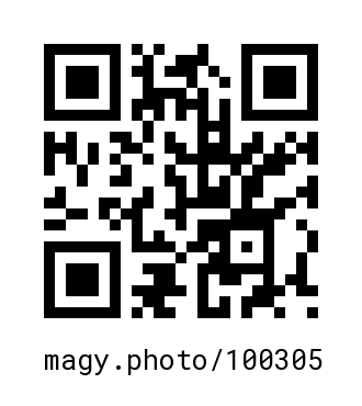 QR Code #100305