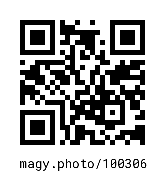 QR Code #100306