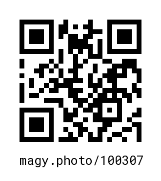 QR Code #100307