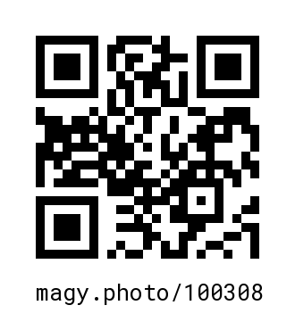 QR Code #100308