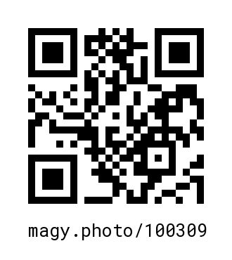 QR Code #100309