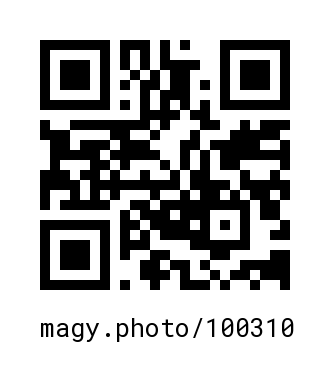 QR Code #100310