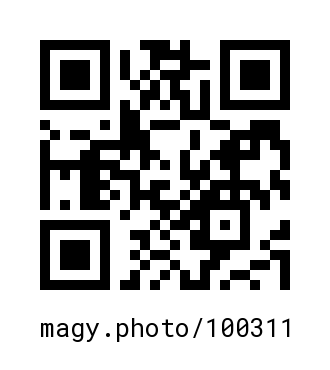 QR Code #100311