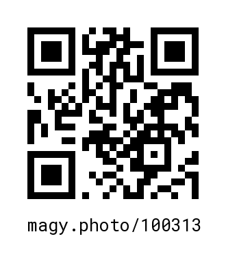 QR Code #100313