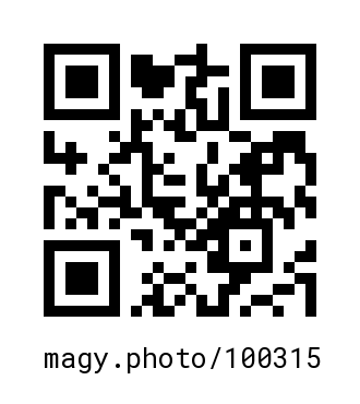 QR Code #100315