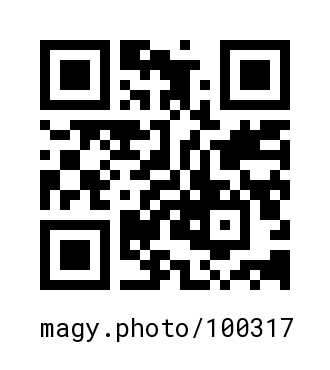 QR Code #100317