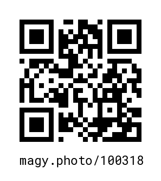QR Code #100318