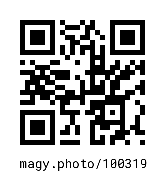 QR Code #100319