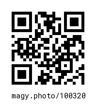 QR Code #100320