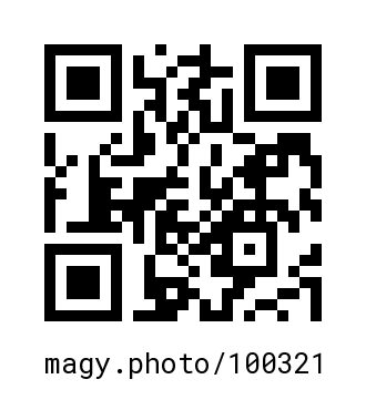 QR Code #100321