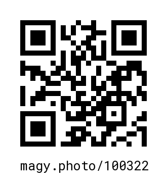 QR Code #100322