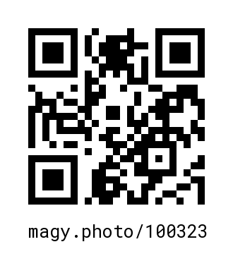 QR Code #100323